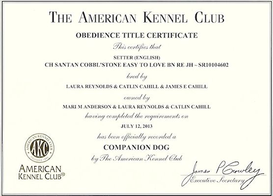 Kayla Companion Dog Certificate